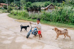 A cheerful child riding a bike with dogs on a village path, surrounded by greenery.