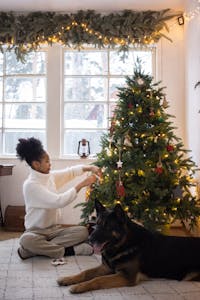 A child decorates a Christmas tree next to a German Shepherd indoors.