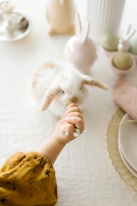 A child's hand feeding a white bunny on a table decorated for Easter, showcasing warmth and innocence.
