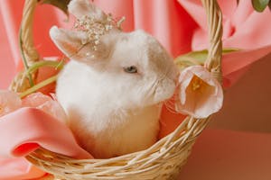 A cute white bunny nestled in a wicker basket with pastel flowers and fabric, perfect for Easter celebrations.