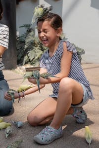 A happy girl interacts with birds in an outdoor aviary setting.