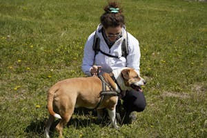 A woman in a field kneels beside her pet dog, enjoying a sunny day outdoors.