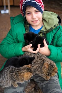 A young boy in a green jacket holds adorable kittens, showcasing love for pets on a cool day.