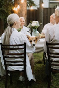 Elderly friends enjoy an outdoor dinner party with a corgi dog.