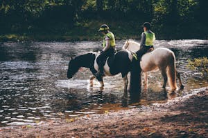 Two equestrians ride horses by a tranquil river in Scotland, showcasing the beauty of nature.