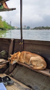 Visiting Hue Con Hen with natural local charm