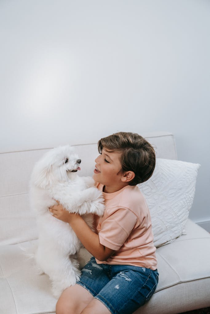 A cheerful child holds a white fluffy dog on a sofa indoors, showcasing happy companionship.