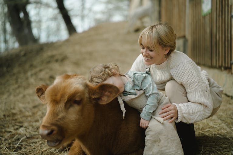 A mother and child share a joyful moment with a calf on a sunny farm day.