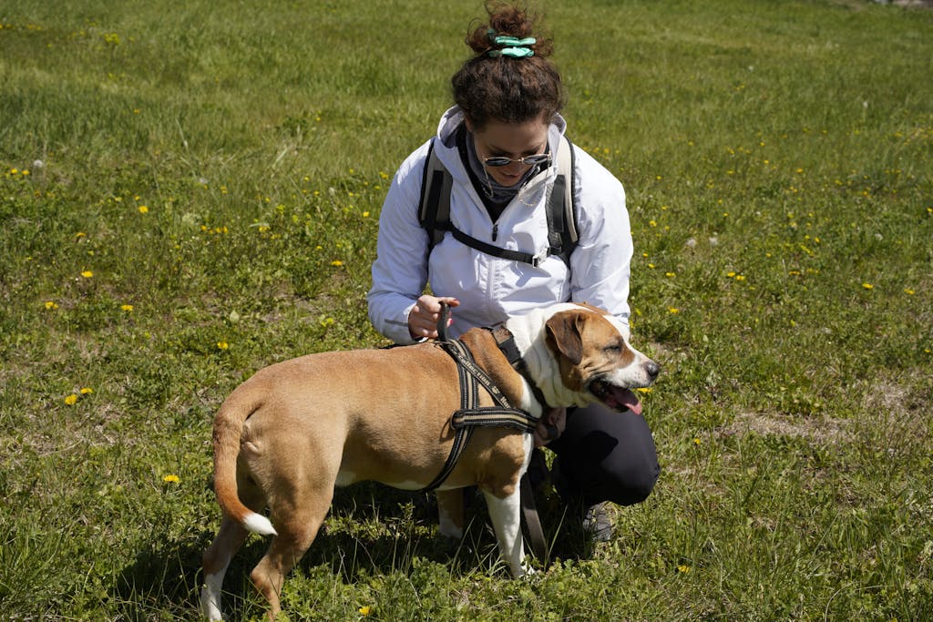 A woman in a field kneels beside her pet dog, enjoying a sunny day outdoors.