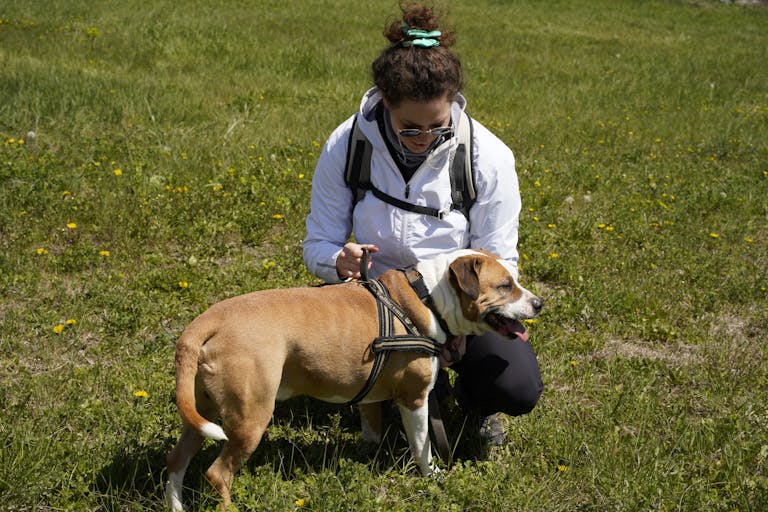A woman in a field kneels beside her pet dog, enjoying a sunny day outdoors.