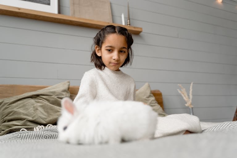 A young girl in a cozy sweater enjoys the company of her fluffy white rabbit indoors.