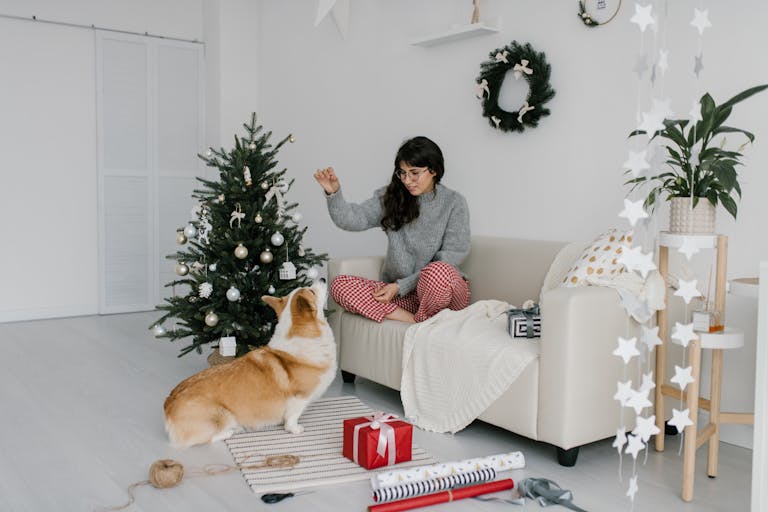 Festive setting with a woman and her Corgi celebrating Christmas indoors with decorations.