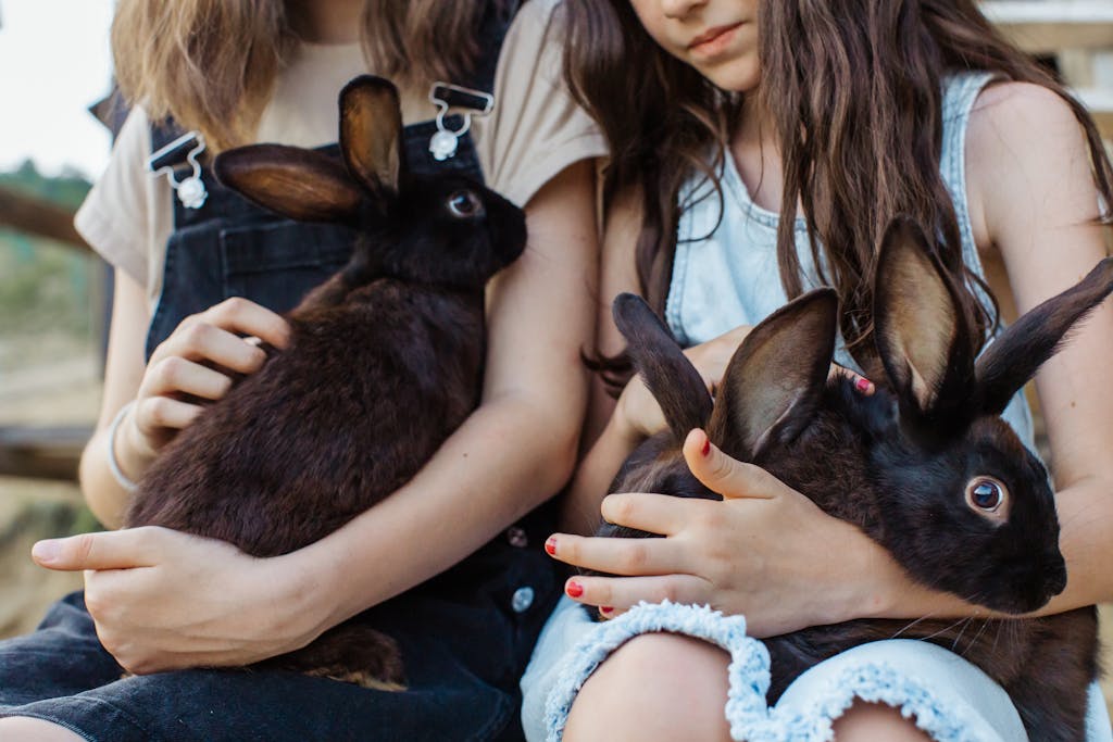 Two children holding and petting cute black rabbits outdoors on a sunny day.