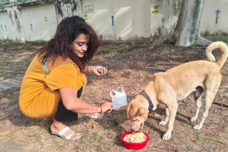 Stray Dog Panced away with woman’s food