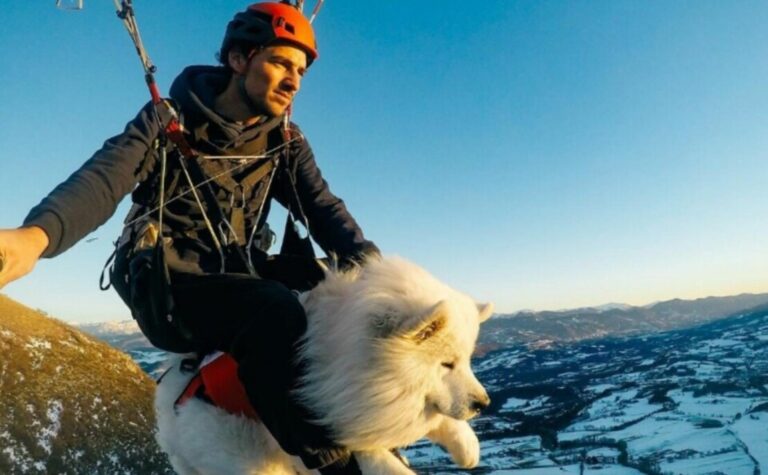 He Was A Rescue Dog Who Had Been Abandoned Twice. I Was Depressed. Together, We Learned How To Fly.