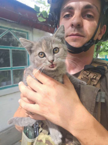 In a War Zone, I Found Something Worth Saving