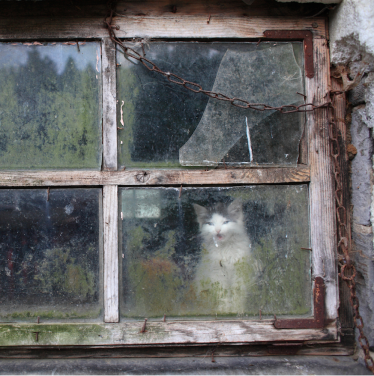 Trapped Behind Glass, Waiting to Be Seen