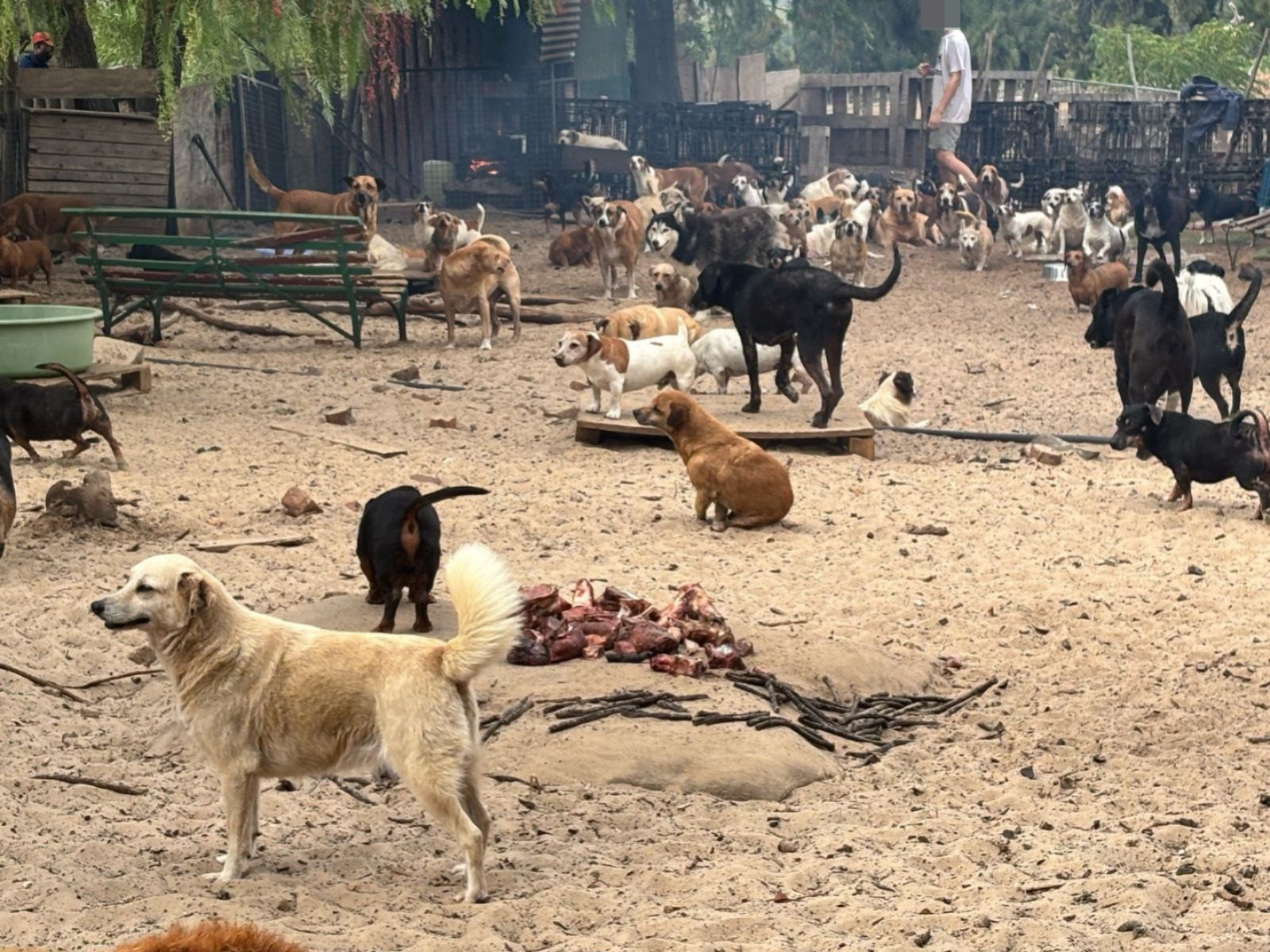 Inside a Single Mobile Home, 76 Souls Waited for a Second Chance