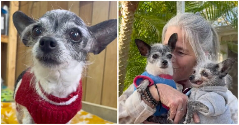 Her Heart Was Broken for Wanting to Be Close. Her New Family Had a King-Sized Bed Waiting for Her