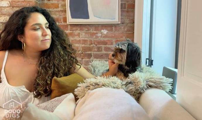 How One Entrepreneur Turned Her Tiny SoHo Apartment Into a Stylish Haven for Her Pup