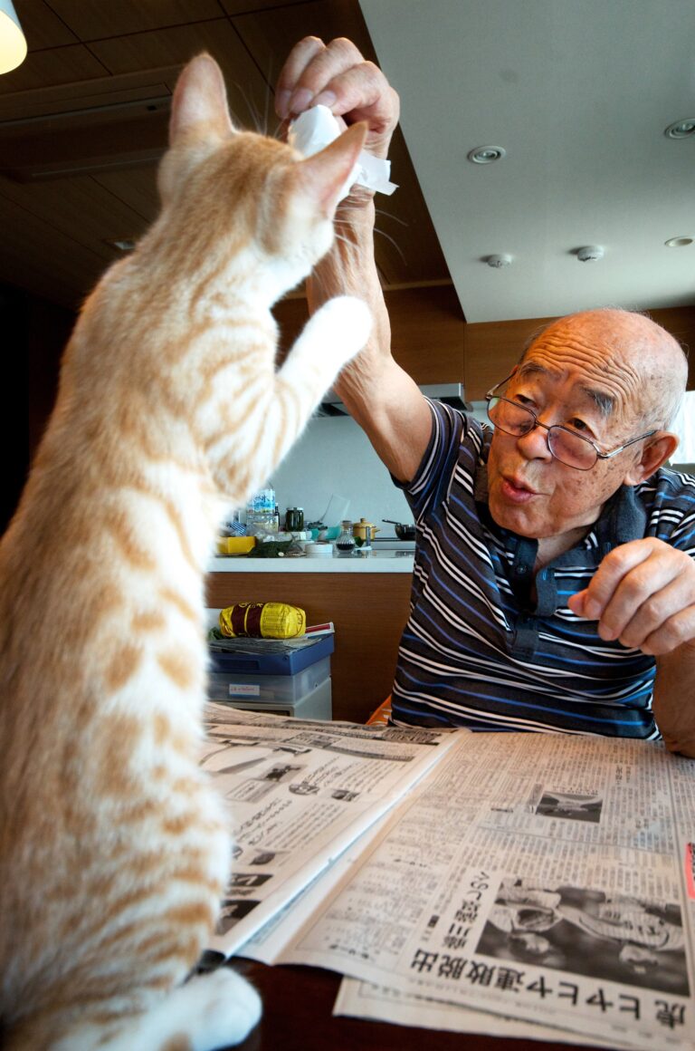 The Cat Who Chose Us: How One Stray Changed Our Lives Forever