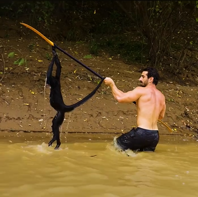 The Little Monkey Who Stole My Heart: An Unexpected Jungle Friendship