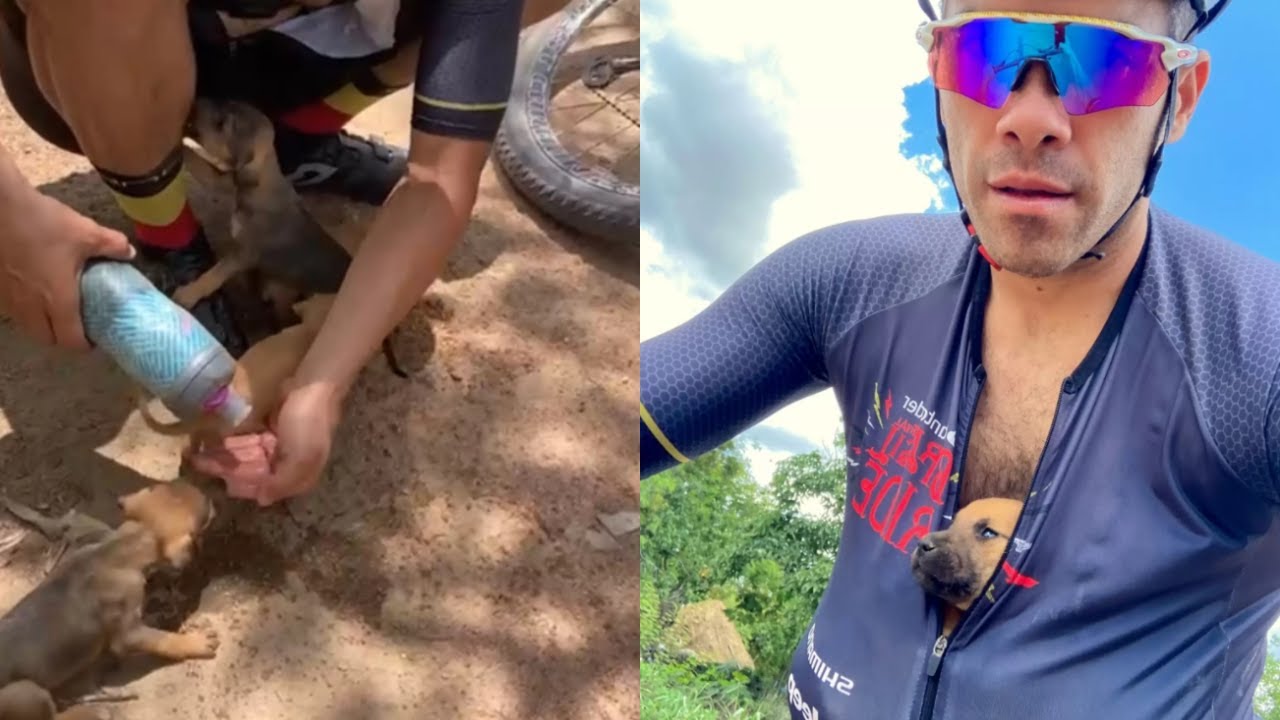 He Was Training for a Race, But His Most Important Finish Line Was 12 Miles Away, With 5 Puppies in His Shirt