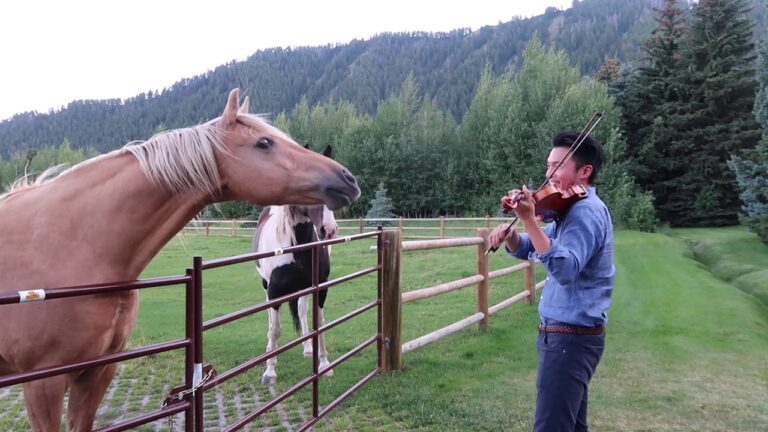 A vivid scene showing animals reacting to the man’s music.
