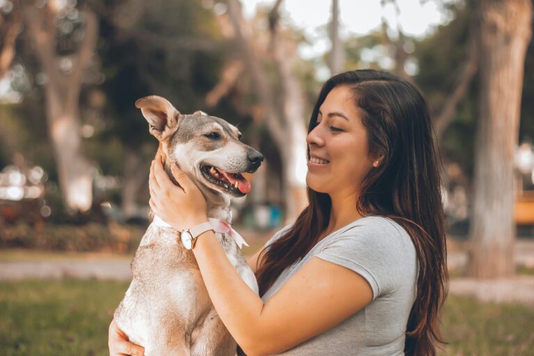 From Lonely Porch to Forever Home: The Senior Dog Who Rebuilt a Family’s Heart