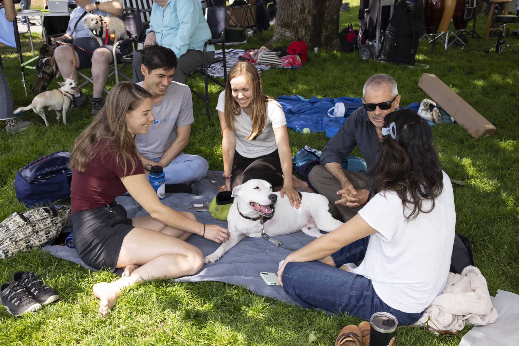 Axel, a dog with three legs, gets a pet from his owner Sara Solli (center) and friends while attending the three-legged dog picnic at Duboce Park in San Francisco, Calif., on Sunday, July 16, 2023. This was the 12th year of the picnic, which gathered three-legged dogs and their owners.