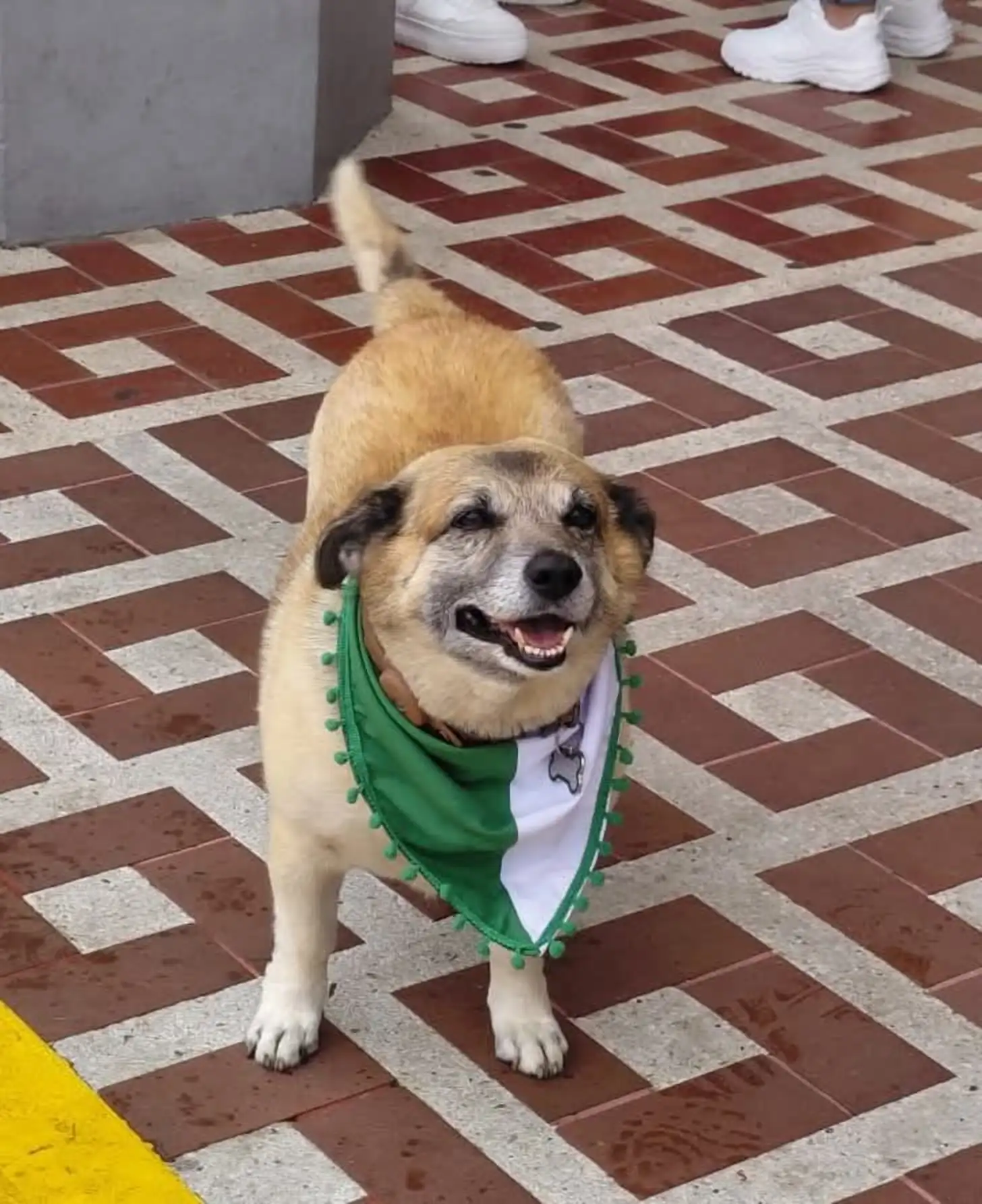 The Dog Who Belongs To Everyone Finally Got The Statue He Deserves.