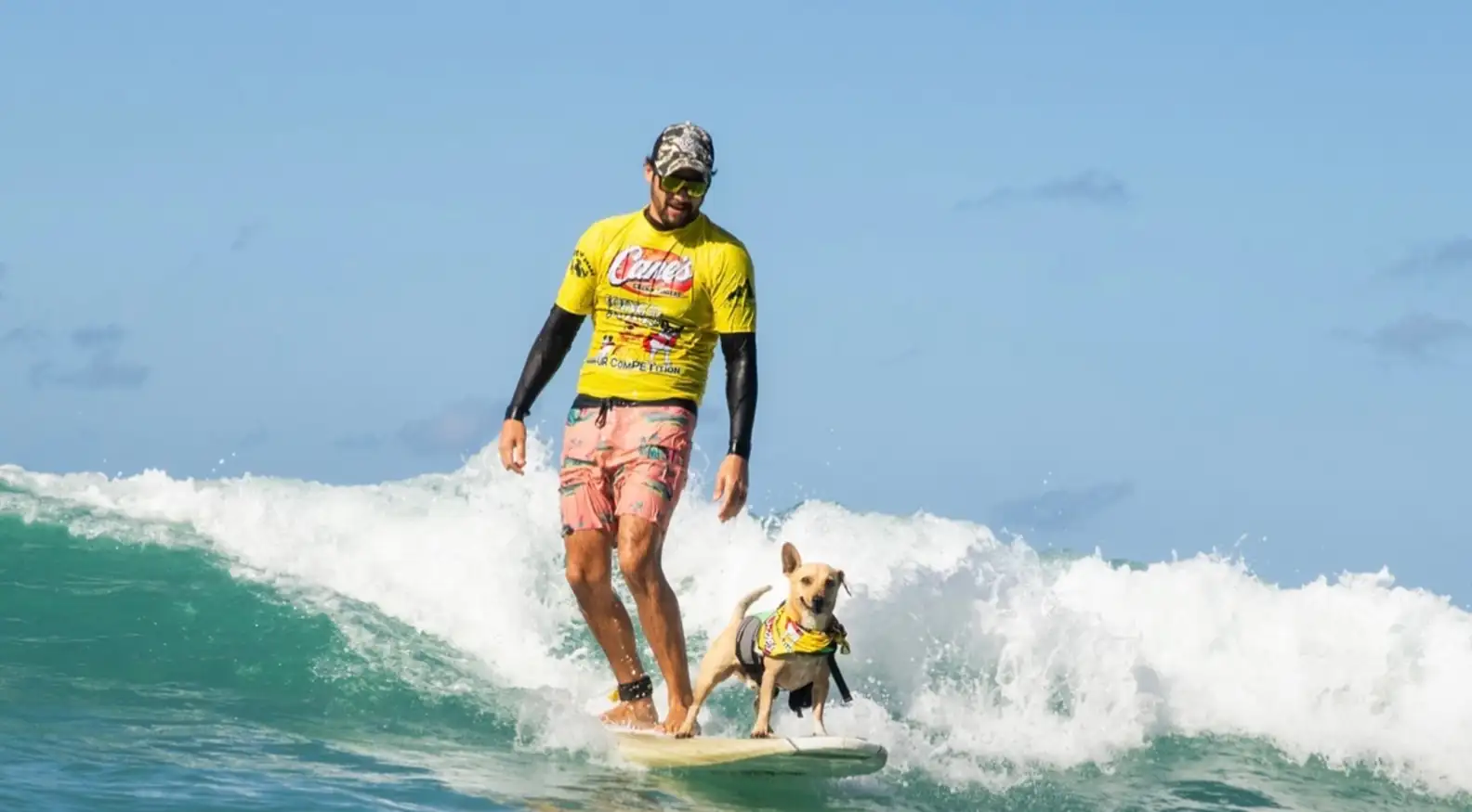 I Never Taught My Dog How To Surf. He Demanded I Learn How To Surf With Him