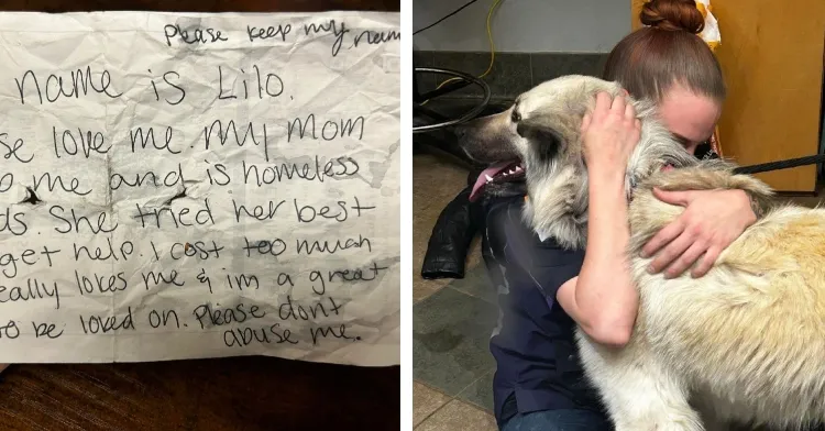 A Lonely Dog, A Heartbreaking Note, And A Shelter’s Compassion