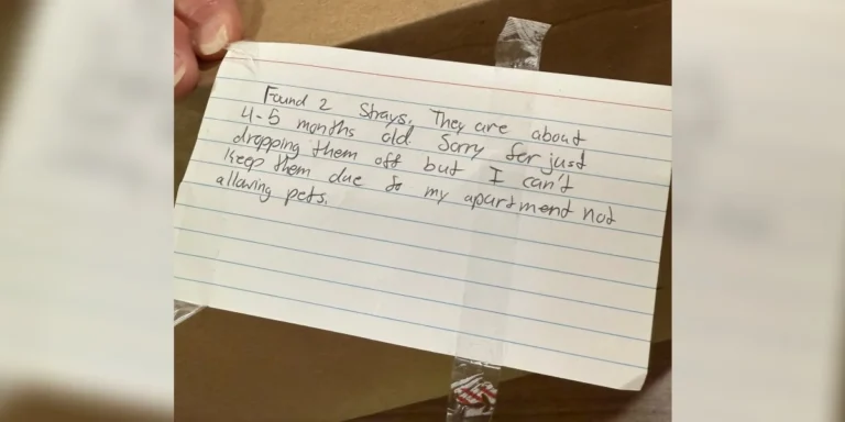 A Sealed Box In The Rain Revealed Two Lives Waiting For A Second Chance