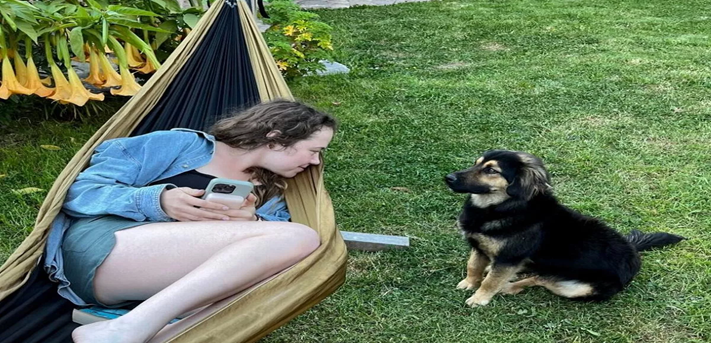 From Lonely Street Dog to Loyal Companion: How Paddington Found His Forever Home