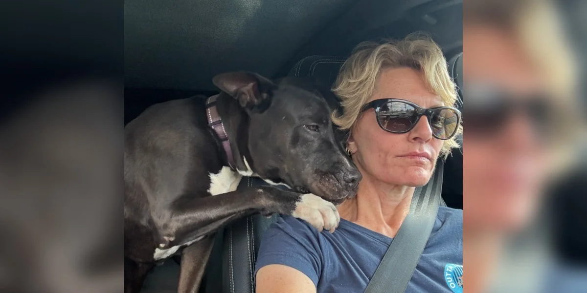 Milo the Gentle Pittie: A Shelter Dog Who Comforted His Rescuer When She Needed It Most