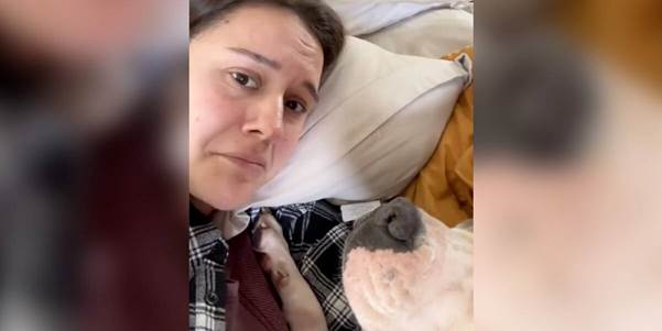 From Grief to Healing: How a Foster Pup Brought Comfort After Heartbreak
