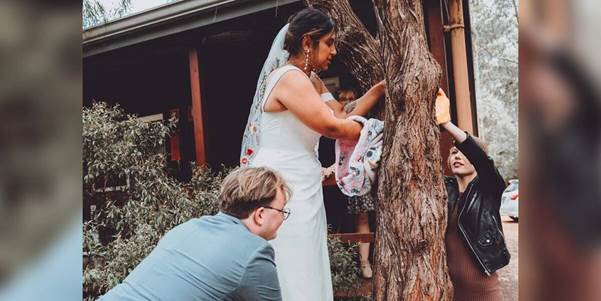 When Love Meets Rescue: Bride Pauses Wedding to Save a Possum in Peril