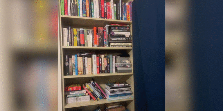 The Little Librarian: Finding the Cheeky Marsupial in the Classics Section