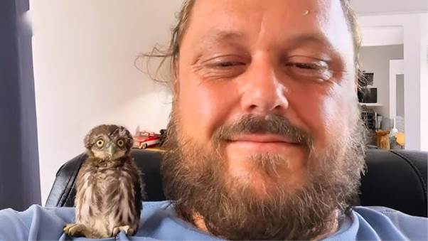 Construction Workers Shocked As Four Baby Owls Tumble Out Of Air Vent