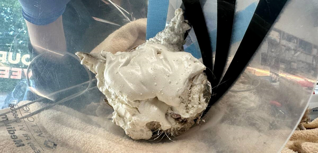 The Rescue of the Phantom: What Was Hiding Under All This Foam