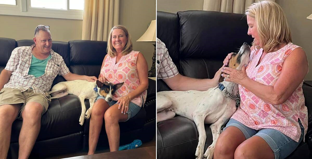 Rescue Dog Melts Into His New Family’s Arms On Adoption Day