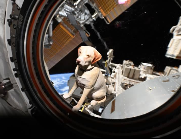 Astronaut Suni Williams’ Tearful Reunion With Her Dogs After 10 Months in Space
