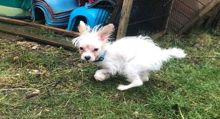 From Abandonment to Belonging: Emmie’s Inspiring Journey of Love and Resilience