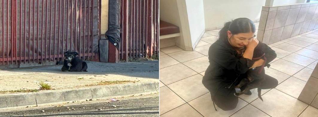 Lost Dog Waits Two Months by Trash Cans — Until Hope Leads Him Back Home