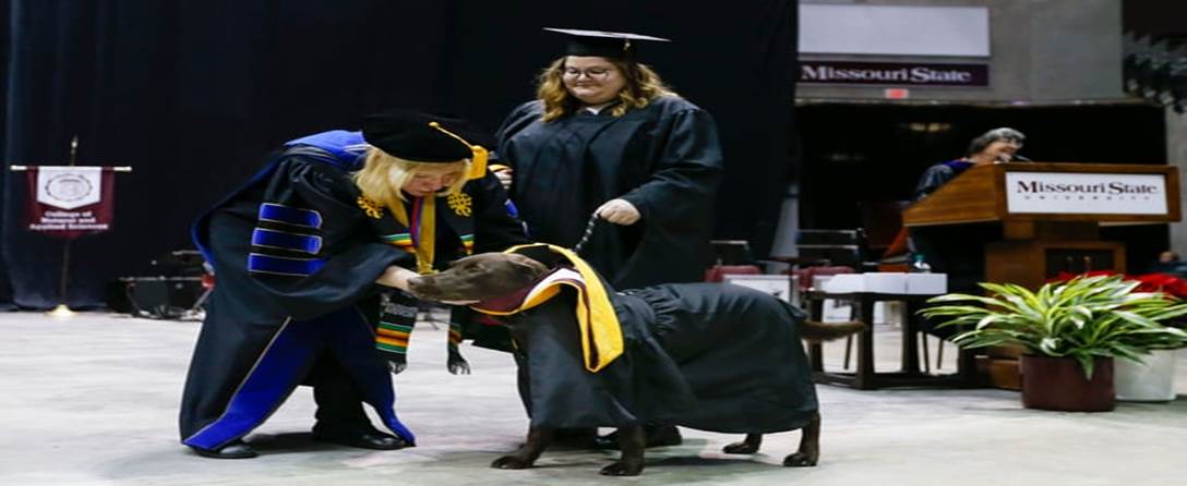 Service Dog Noodle Breaks Barriers: From Classroom Companion to Historic Graduate