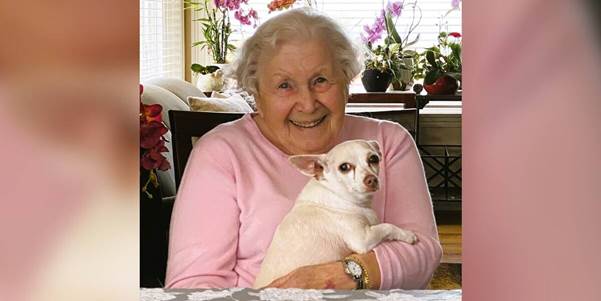 A Centenarian’s Perfect Match: How A 100-Year-Old Woman Gave A Forgotten Senior Dog A Forever Home