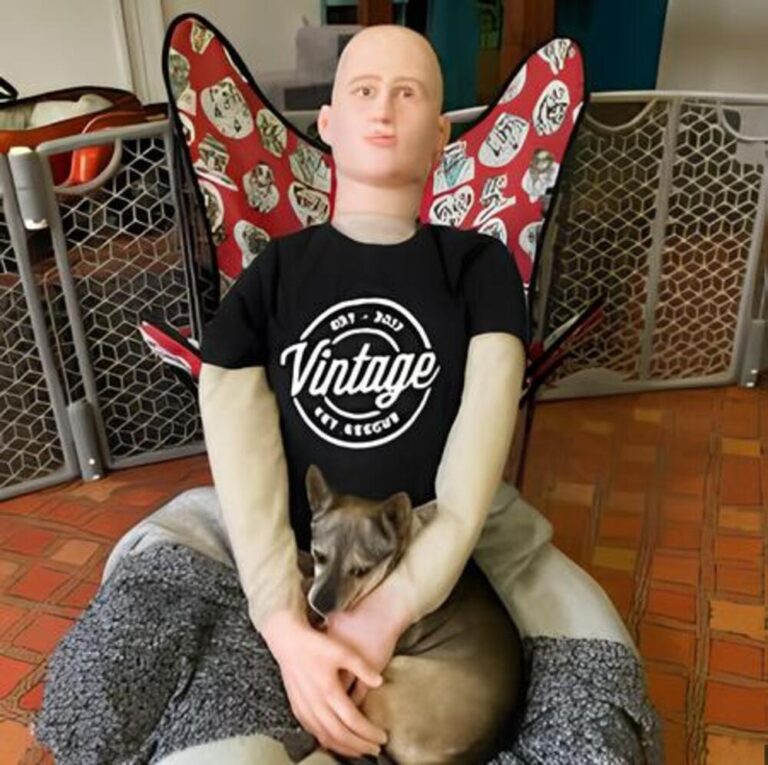 Anxious Pup Finds Comfort in a Life-Size ‘Friend’ That Everyone Else Finds Creepy