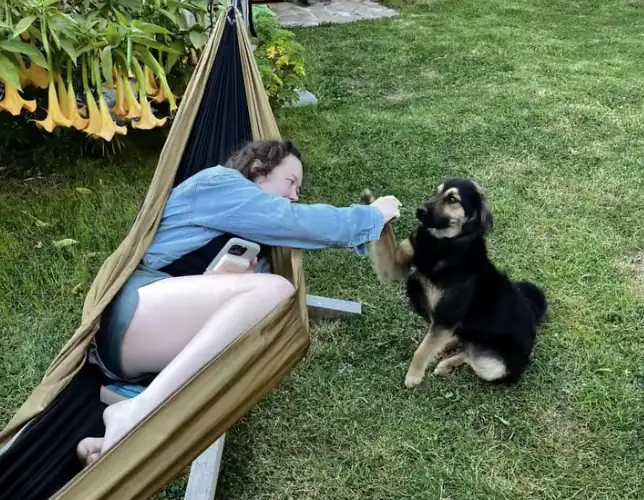 Raymond the Forgotten Pup: From Waiting Alone on a Trail to Discovering Love Again