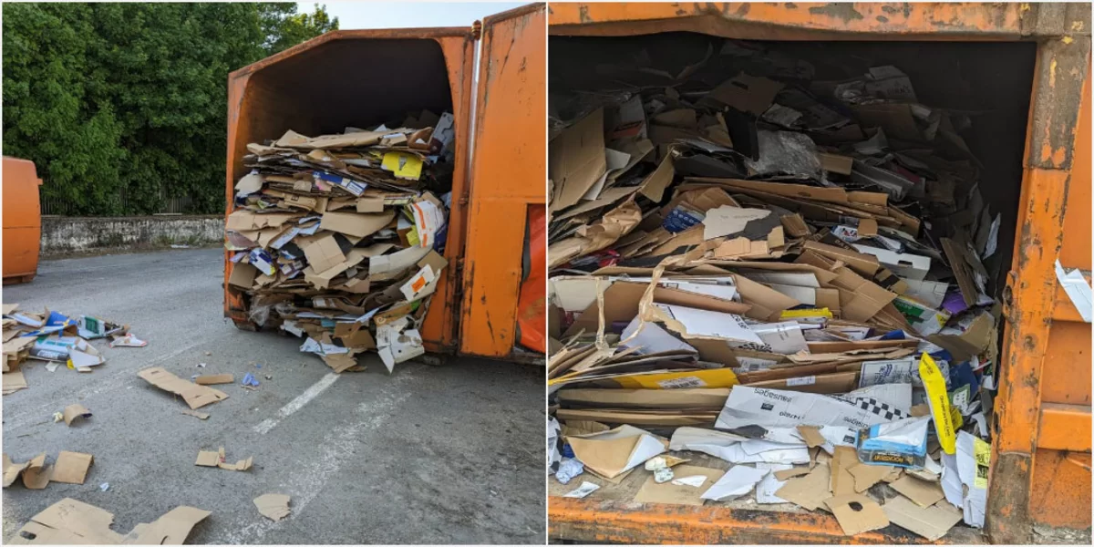 Tiny Cries From a Cardboard Crusher Lead to a Miraculous Kitten Rescue